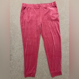 Time and Tru Pink Velvet Pants